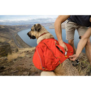 Ruffwear Palisades Dog Backpack in Red Sumac (Medium) Ruffwear - Bars 4 Cars