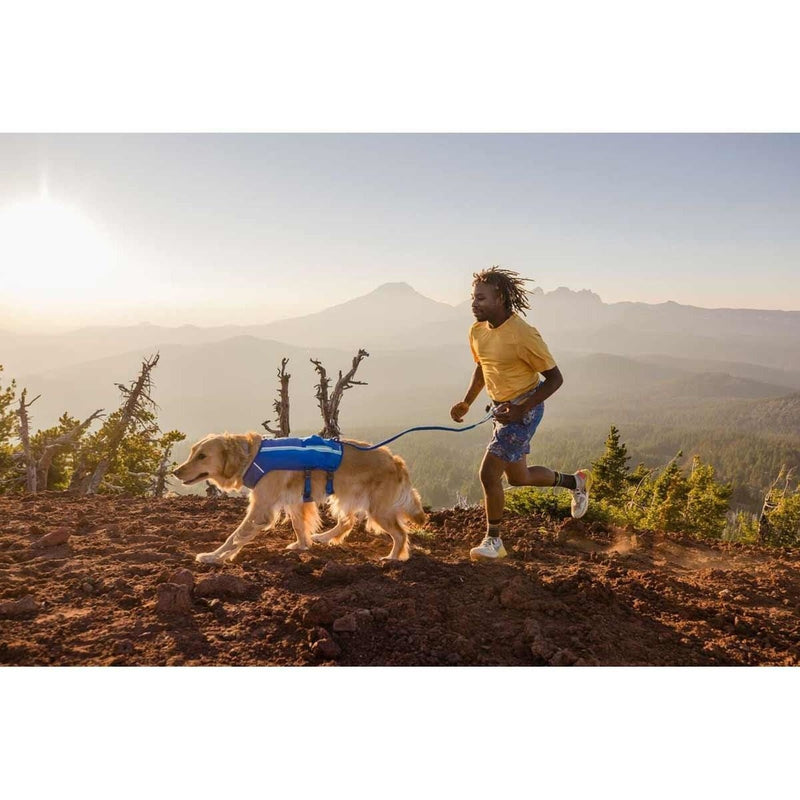 Ruffwear Trail Runner Dog Running Vest in Blue Pool (Small) Ruffwear - Bars 4 Cars