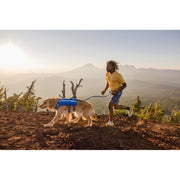 Ruffwear Trail Runner Dog Running Vest in Blue Pool (L / XL) Ruffwear - Bars 4 Cars