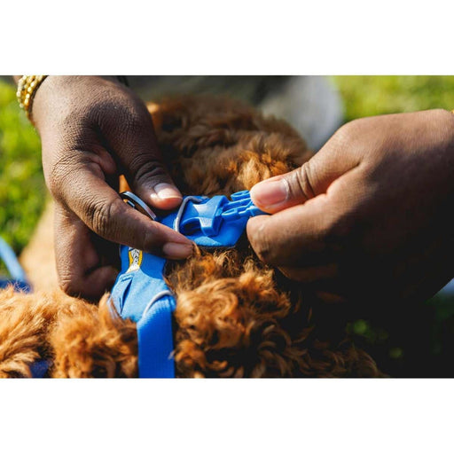 Ruffwear Front Range Dog Harness in Blue Pool (Small) Ruffwear - Bars 4 Cars