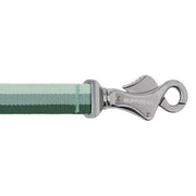 Ruffwear Roamer Bungee Dog Running Lead River Rock Green (2.2 - 3.4m) Ruffwear - Bars 4 Cars