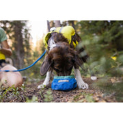 Ruffwear Trail Runner Ultralight Dog Bowl in Blue Pool Ruffwear - Bars 4 Cars