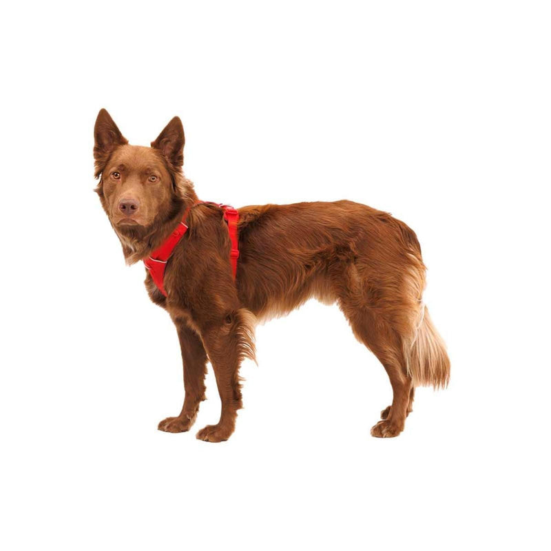 Ruffwear Front Range Dog Harness in Red Canyon (Medium) Ruffwear - Bars 4 Cars