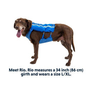 Ruffwear Trail Runner Dog Running Vest in Blue Pool (L / XL) Ruffwear - Bars 4 Cars