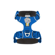 Ruffwear Front Range Dog Harness in Blue Pool (Small) Ruffwear - Bars 4 Cars
