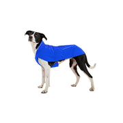 Ruffwear Vert Dog Jacket in Blue Pool (Small) Ruffwear - Bars 4 Cars