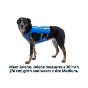 Ruffwear Trail Runner Dog Running Vest in Blue Pool (Small) Ruffwear - Bars 4 Cars