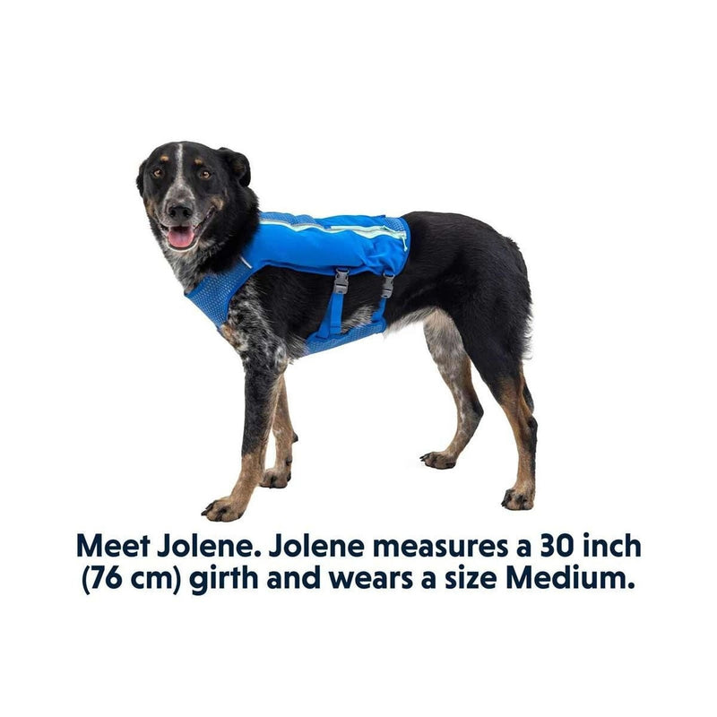 Ruffwear Trail Runner Dog Running Vest in Blue Pool (Small) Ruffwear - Bars 4 Cars