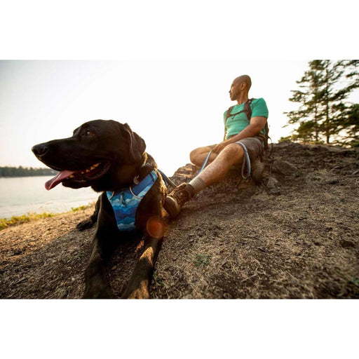 Ruffwear Front Range Dog Harness - Coastal Mountains Print (X Small) Ruffwear - Bars 4 Cars