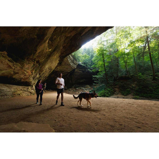 Ruffwear Front Range Dog Harness in Red Canyon (Medium) Ruffwear - Bars 4 Cars