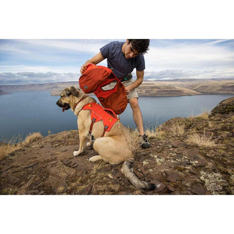Ruffwear Palisades Dog Backpack in Red Sumac (L / XL) Ruffwear - Bars 4 Cars